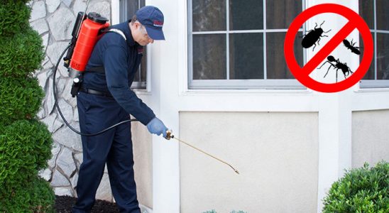 Şişli Tahtakurusu İlaçlama böcek ilaçlama ve haşere kontrolü — ilaclama-tr.com